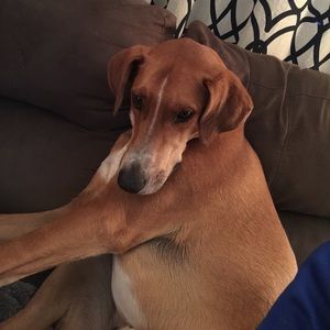 Meet your Posher, Cody